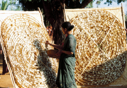 Sericulture Course